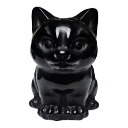 Chat Obsidienne