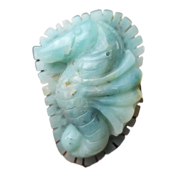 Hyppocampe Aragonite