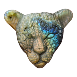 Léopard Labradorite