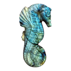 Hyppocampe Labradorite