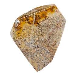 Quartz à inclusion dendritique