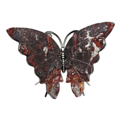 Papillon Agate méxicaine...