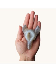 Tête de loup en Agate 2