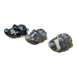 Crocodile Agate Volcanique