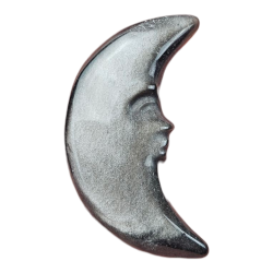 Lune Obsidienne argentée