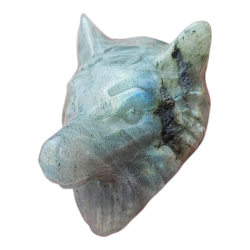 Tête de loup Labradorite