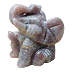 Elephant Jaspe océan