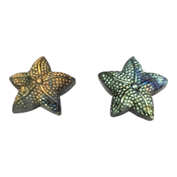 Etoile de mer Labradorite