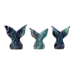 Queue de sirène Fluorite