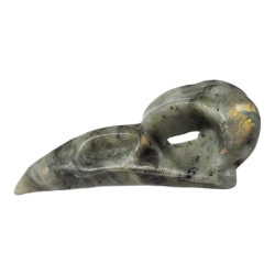 Crâne de corbeau Labradorite