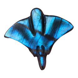 Raie manta Labradorite