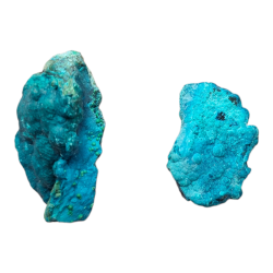 Chrysocolle