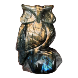 Hibou Labradorite