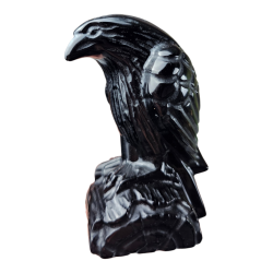 Corbeau Obsidienne noire
