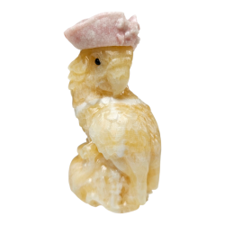 Perroquet pirate Calcite jaune