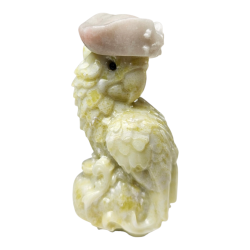 Perroquet pirate Jade