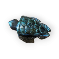 Tortue en Labradorite