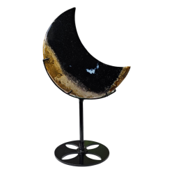 Lune bois fossilisé