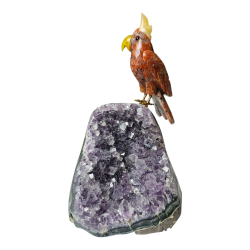 Améthyste du Brésil avec...