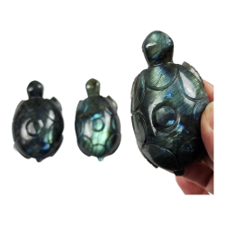 Tortue Labradorite