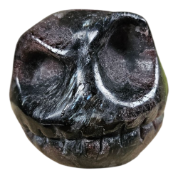 Crâne Grenat sur Astrophyllite