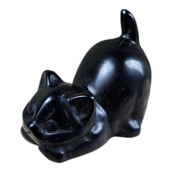Chat Obsidienne noire