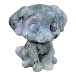 Chien Labradorite