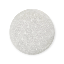 Fleur de vie en Sélenite 10cm