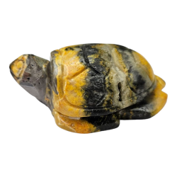 tortue Jaspe Bumblebee