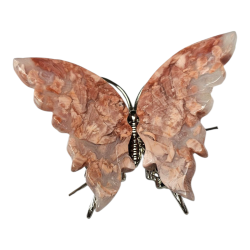 Papillon Agate rose barbe à...